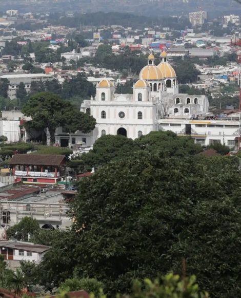 real estate template